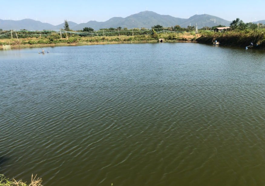 傳統水產養殖與循環水養殖優缺點介紹(圖2)